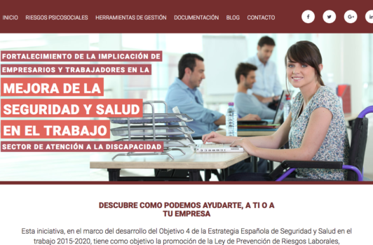 Discapacidad PRL